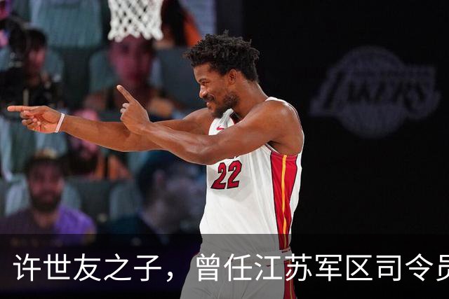 许世友之子，曾任江苏军区司令员，49岁升少将，现在是什么职务？